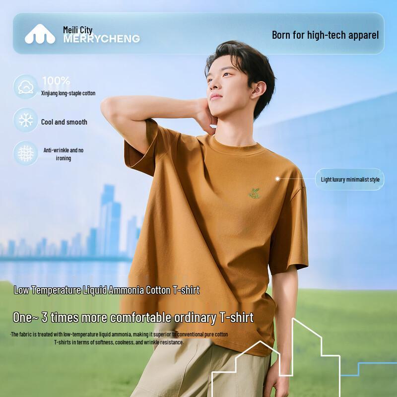 Men s Relaxed Fit Heavyweight Cotton T-Shirt M