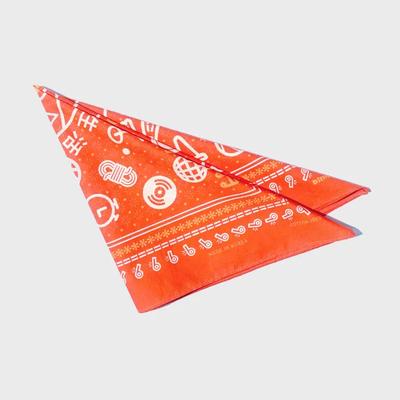 Bandana Spicy Fresh Orange