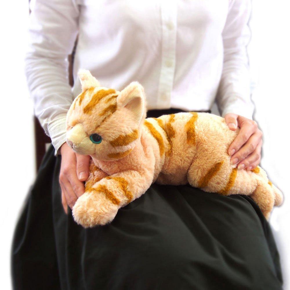 Sun Lemon Knee Cat Brown M 25 x 39 x 12cm Stuffed Animal P-1812