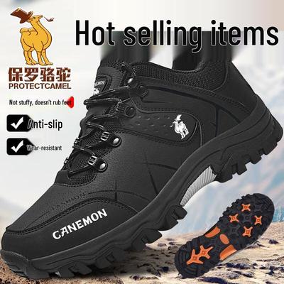 Scarpe Outdoor da Escursionismo e Casual da Uomo Paul Camel
