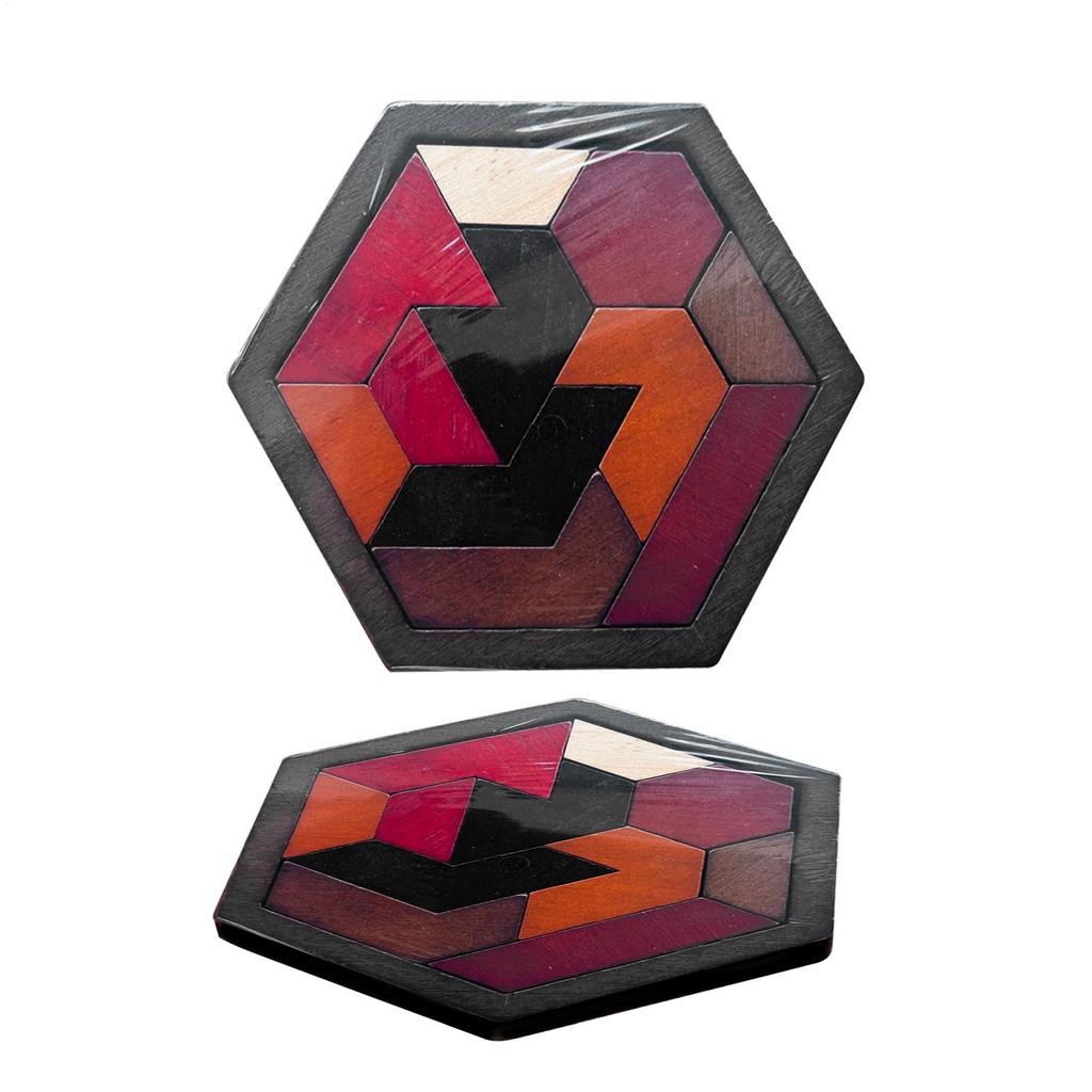 Funny Wooden Puzzle Brain Teaser Puzzles Set Geometric Block Logic IQS STEM Montessori Toy For Kid Adult Intelligence Challenges