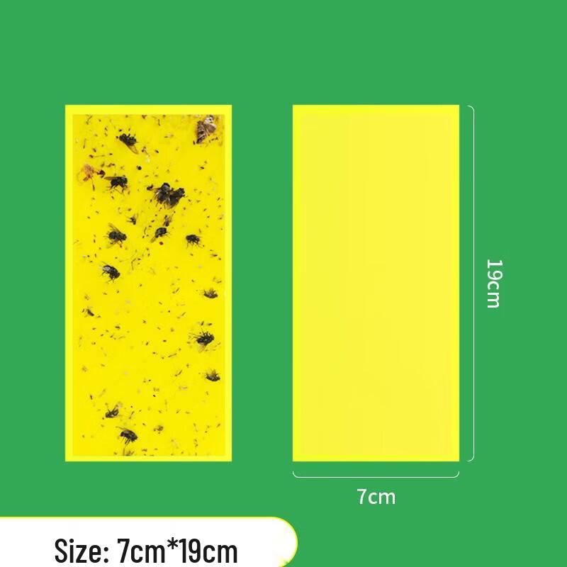 FNS Sticky Fly Traps for Insects, 100-Pack 19x7cm