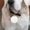 Square Pet Finder Bluetooth-compatible 5.0 Smart GPS Tracker with Lanyard Anti-Lost Tracker for Child Bag Wallet for Android IOS