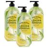 On the Body Super Botanic Body Wash Lemon & Verbena Scent 900g 3 Pcs