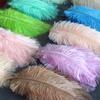 Colored Ostrich Hair 15-20Cm Wedding Ornament Wall Decoration Feather Wall Hand Bouquet Diy Dream Catcher Material