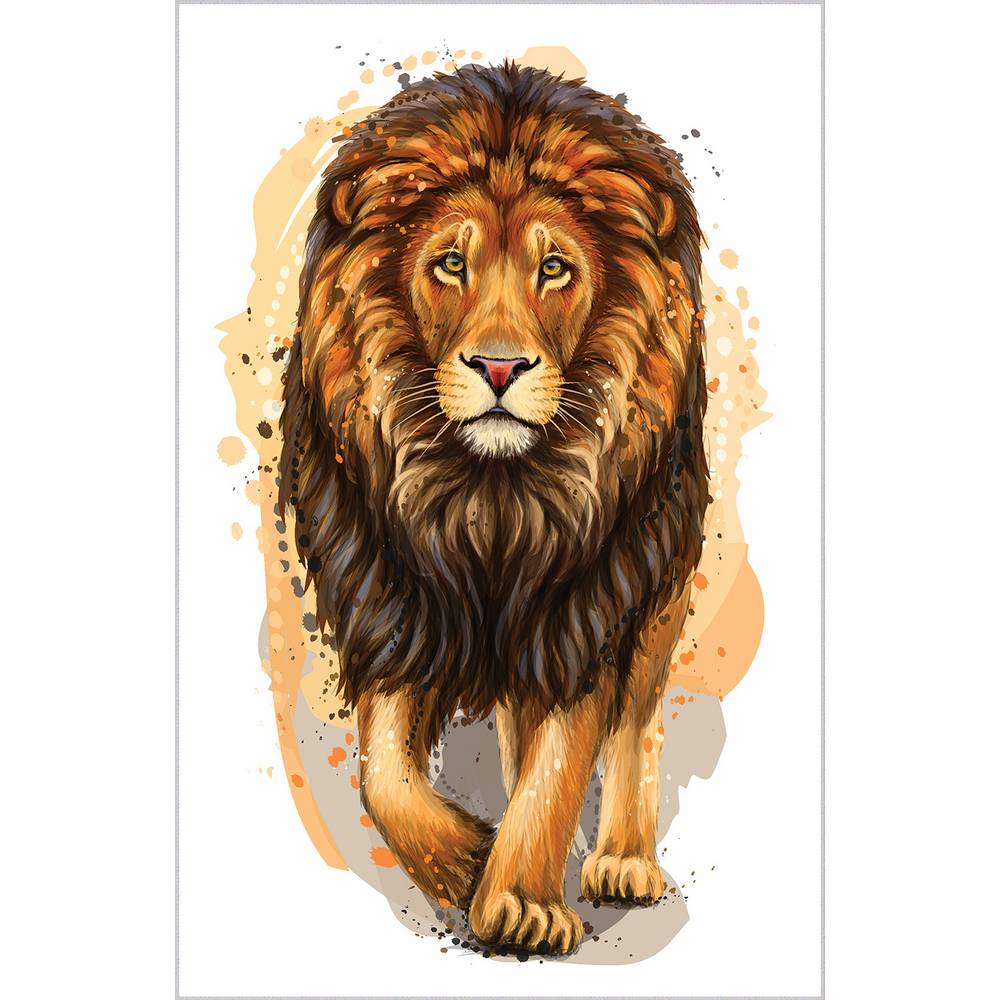 Rovigo Home Tištěný Pratelný Koberec RVG1891-SD259