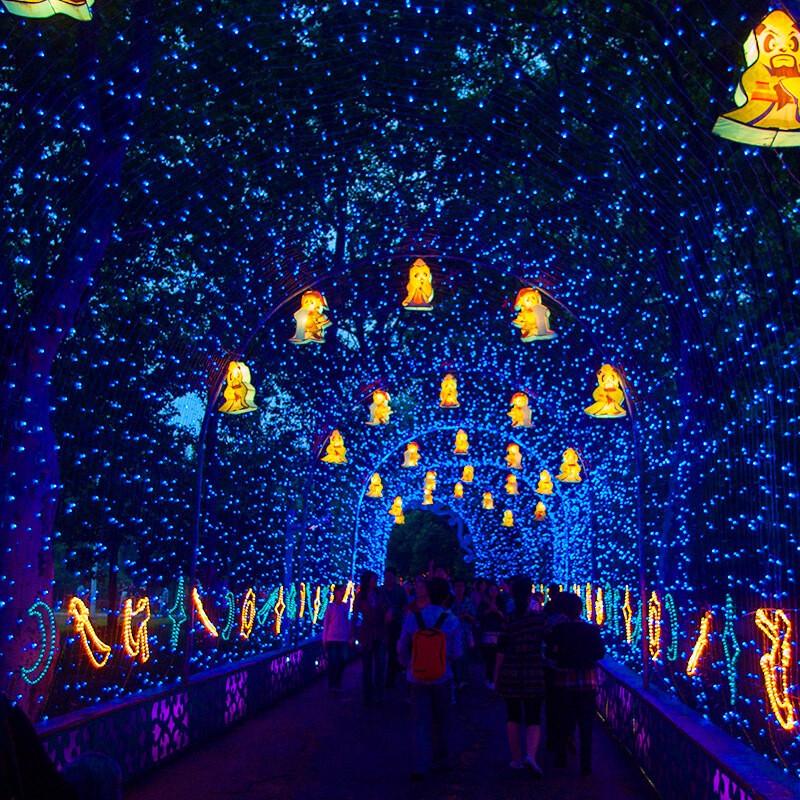 Beigong Outdoor Rainproof LED String Lights