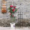 Climbing Clematis & Rose Flower Rack for Balcony Pot - European Design Plant Support