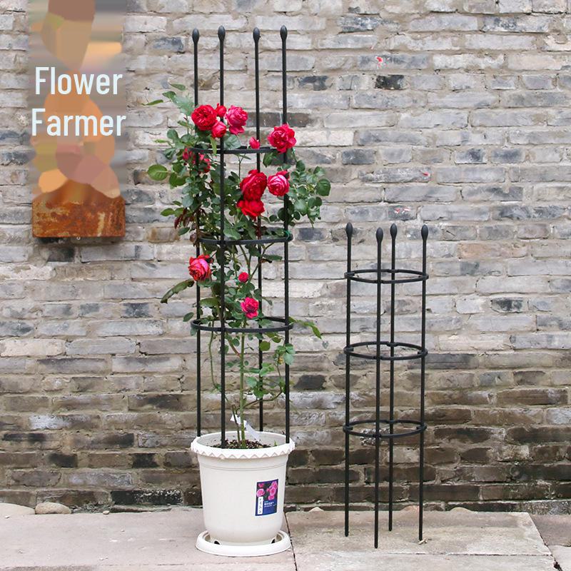 Climbing Clematis & Rose Flower Rack for Balcony Pot - European Design Plant Support