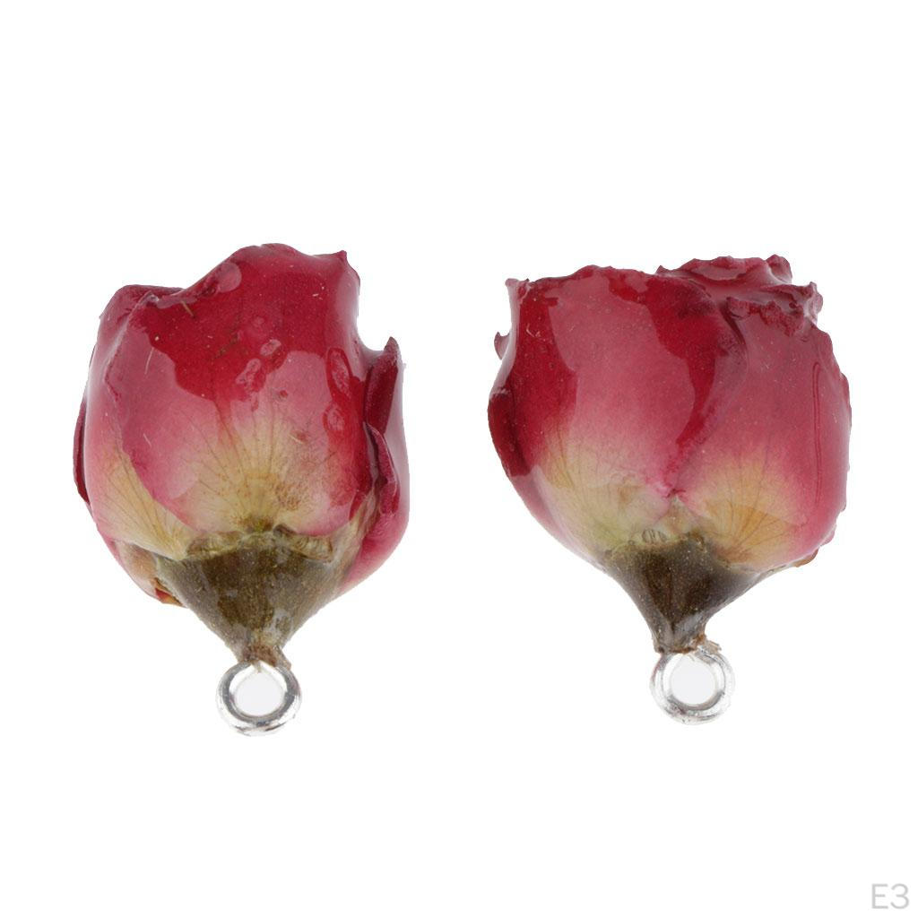 2 Piece Resin Dried Flower Pendant Jewelry Findings Crafting Charms For Necklace Bracelet