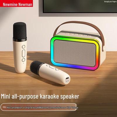 Newman DP97 All-in-One Wireless KTV Microphone Speaker CN Plug (adapter Included)