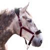 Whitaker Club Horse Headcollar and Leadrope