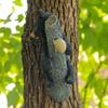 Black Bear Cub Statue Cub Napping & Hanging Out Faces Figurine Realistic Animal Figurines Resin Funny Baby Bear Statue for Trees