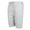 Regatta Mens Aldan Chino Shorts