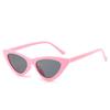 Klassische Dreieck Cat-Eye Sonnenbrille Für Damen High-End Stilvoll Hipstergirl Strandbrille Outdoor Nutzung Camping Oculos De Sol