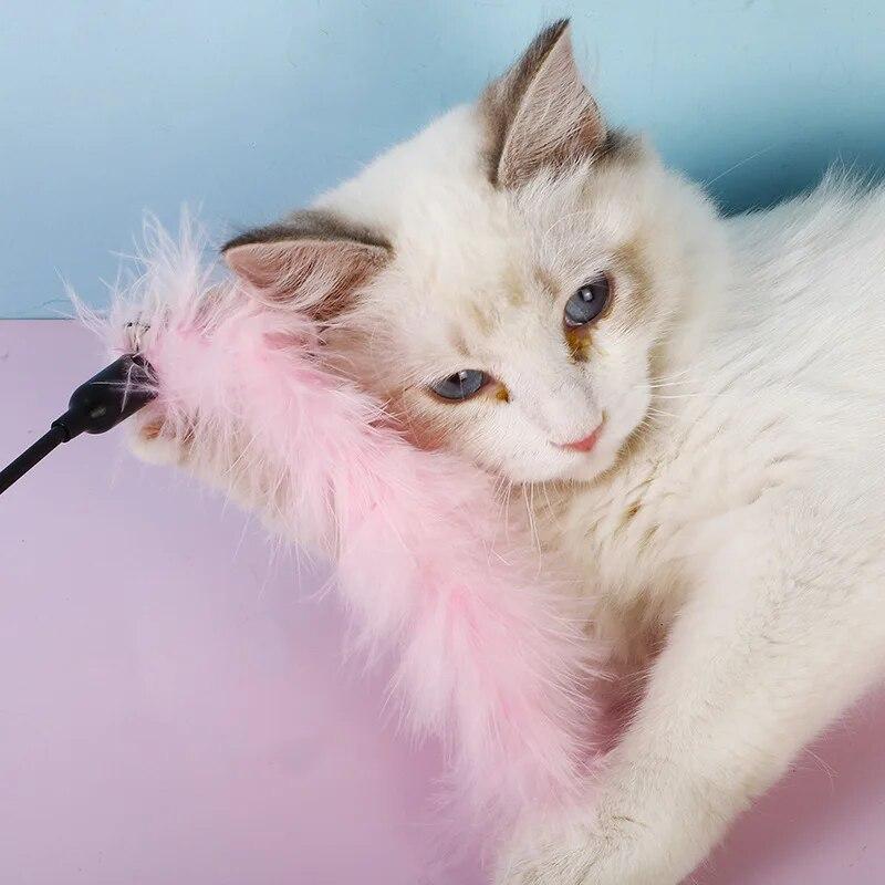 Random Color Funny Cat Stick Feather Toys Solid Turkey Feathers Tease Cat Stick Interactive Pet Toys Cat Playing Training Toy