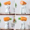 2Pcs Holding Carrot Rabbit Figurine Hand-Painted Carrying Radish Bunny Statue Resin Sculpture Easter Holiday Party Decoration Ornament