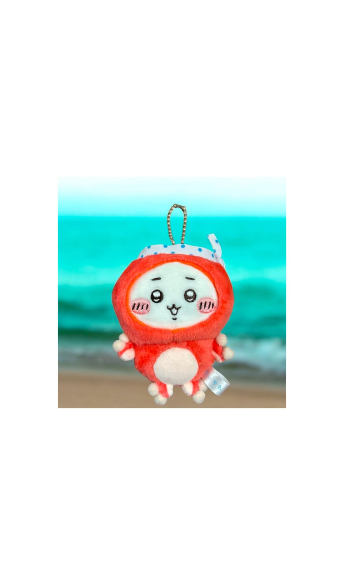 

Octopus and Squid Official Mascot Plush Toy (Chiika)
