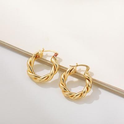 Twist Earrings Temperament High-end Sense Atmospheric Circle Ear Buckle Earrings for Women