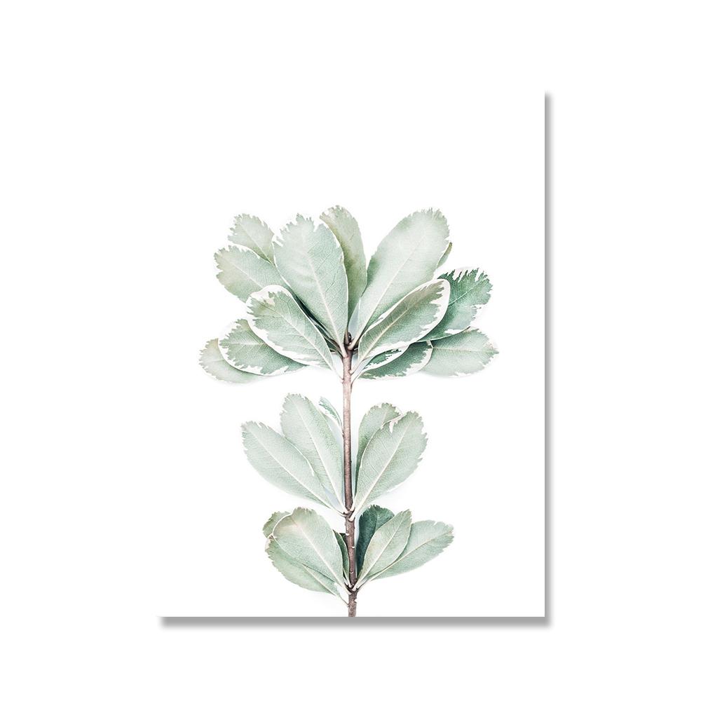 

Эвкалиптовые постеры, ботаническая картина на холсте, декор стен в фермерском доме, минималистские художественные картины, украшение спальни, скандинавский декор, без рамки 21*30cm No Frame