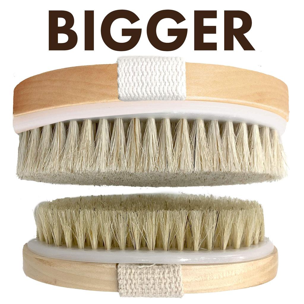 Wet and Dry Body Brush Exfoliator Soft Bristle Brush Naturally Exfoliates Dead Smooths Slows and Stimulates Lymphatic and Blood Flow by Scala 5 X