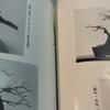 [USED] Antique Book Watanabe Family Bonsai Exhibition Catalog Japan Vintage Japan Store