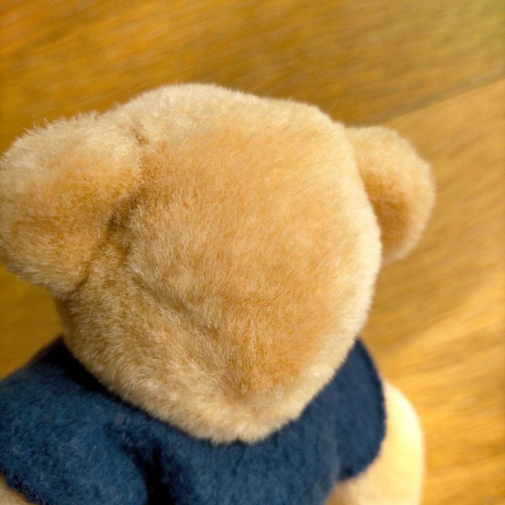 [USED] Teddy Bear Plush Toy