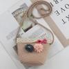 2024 Women's Mini Cartoon & Straw Flower Messenger Bags - Cute Beach Accessory