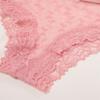 Seamless Sheer Mesh Underwear Transparent Women Lace Panties Elegant Lace Trim Briefs  Female