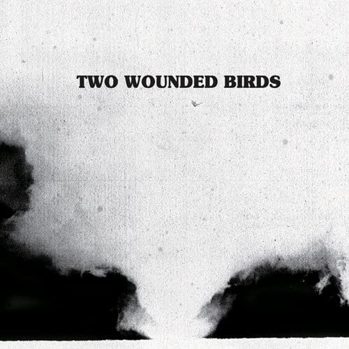 

CD TWO WOUNDED BIRDS - TWO WOUNDED BIRDS VJR3136 Japan Music Другое Б/у