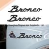 Ford Bronco Custom Horse Fender & Trunk Logo Sticker Set