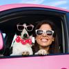 Abbylike 100 Pcs Valentine's Dog Collar Flowers Bows Dog Grooming Collar Bulk Adjustable Pet Bow Tie Cat Puppy Bowtie Charms Flower for Valentine's