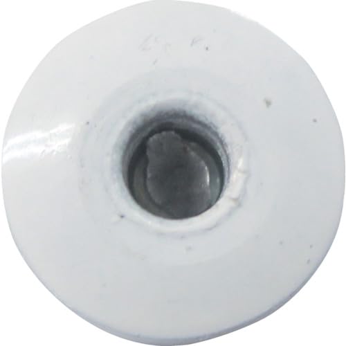 Lobster Color Rivets, White, 5-4, 1000 Pieces, CNSA54W