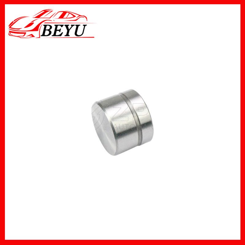 Porsche 911/Cayenne/Cayman Hydraulic Valve Lifter - In Stock & Hot Sale