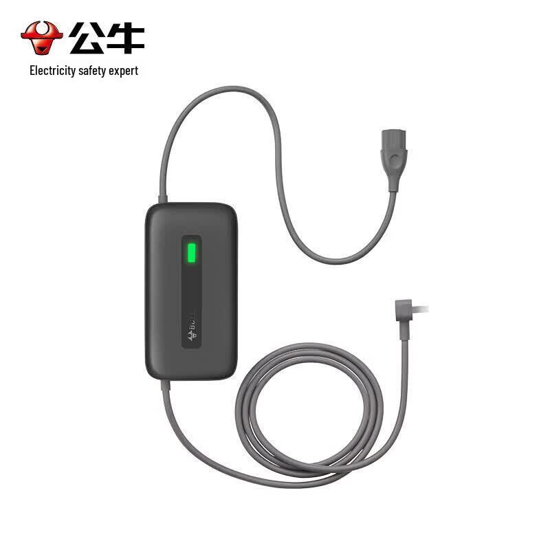 BULL Electric Vehicle Lead-Acid Battery Charger CN plug (adapter included)