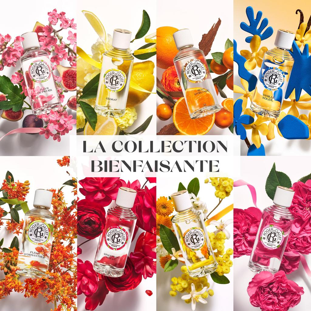 ROGER GALLET Gel Douche Fig 200mL Fig & (Body Soap)