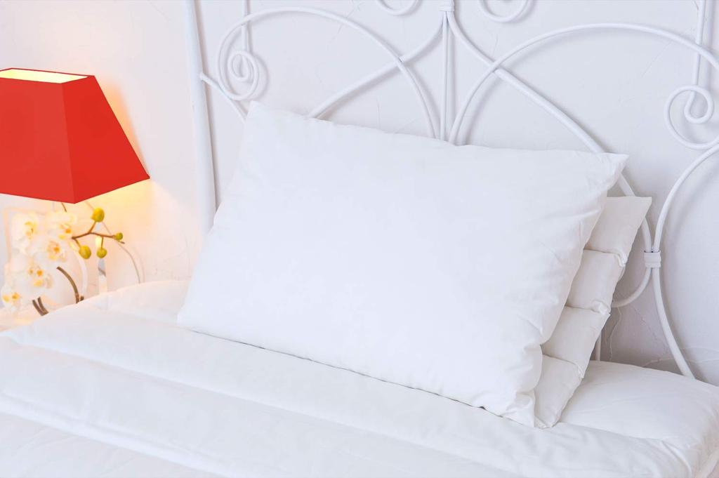 Danfill Pillow Me Pillow Me with Dedicated Pillow Cover JPA213-AKS18-3