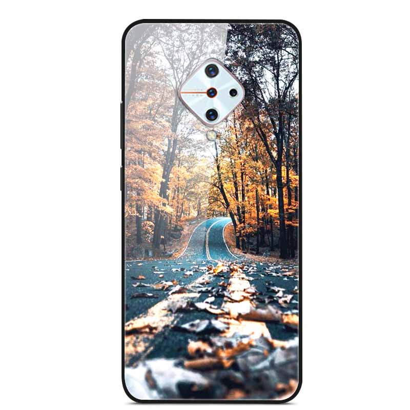 Tempered Glass Case For Vivo V17 Case Russia Glass Back Cover Soft Bumper For Vivo V17 Phone Cases V 17 Funda Y9s S1 Pro Coque