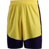 Under Armour Unisex Running Training Shorts