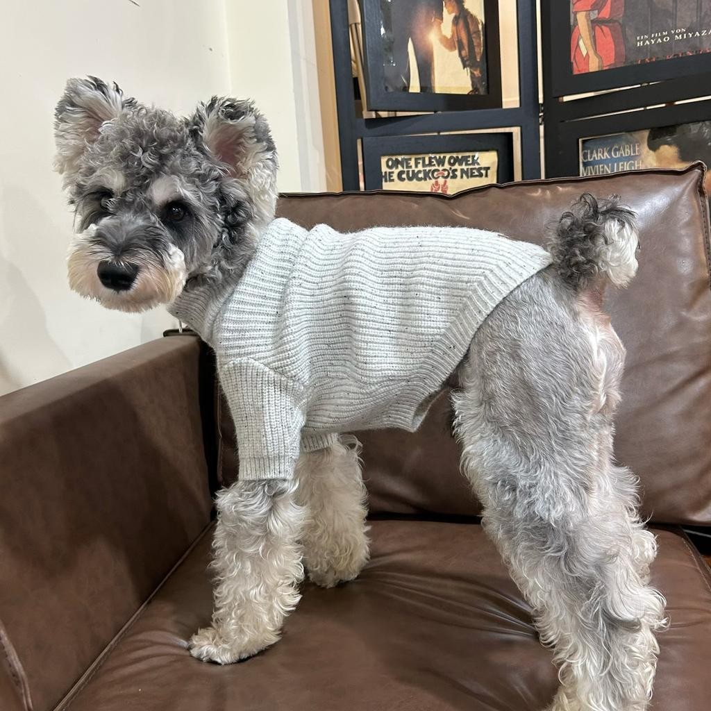 Dog Clothes Wool Leisure Autumn Winter Fashion Half Zip Ribbed Knit Sweater Polo Shirt Schanery Teddy West Highland Guangdong