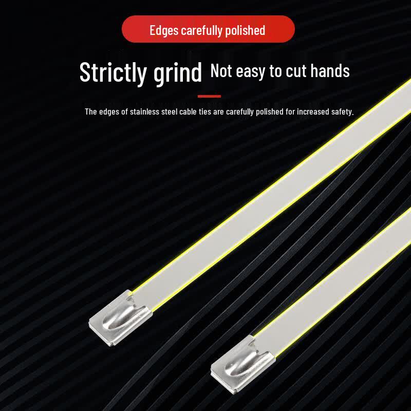 Laiyu 304 Stainless Steel Cable Ties