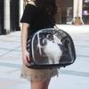Small transparent dog carrier/carrier