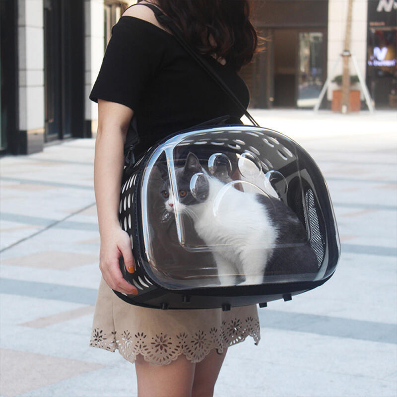 Small transparent dog carrier/carrier