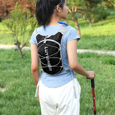 Lightweight Insulated Pack Daypack Waterproof Reflective Nylon Sports Bag for Running Biking
