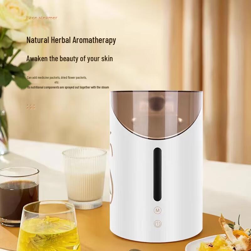 K·SKIN KD2312 Nano Mist Facial Steamer with Cold & Hot Spray