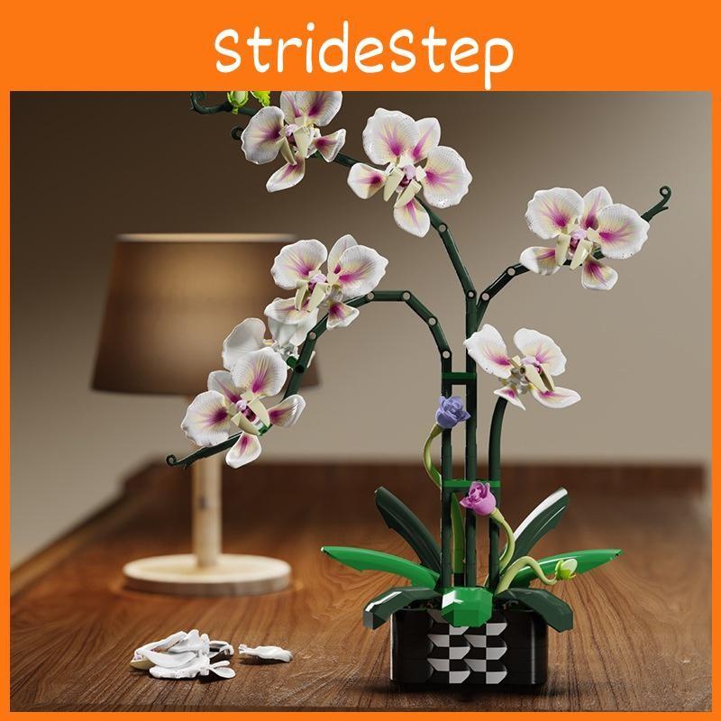 Building Cymbidium Plastic Block Flower Toy Set For Diy Creative Toy Building