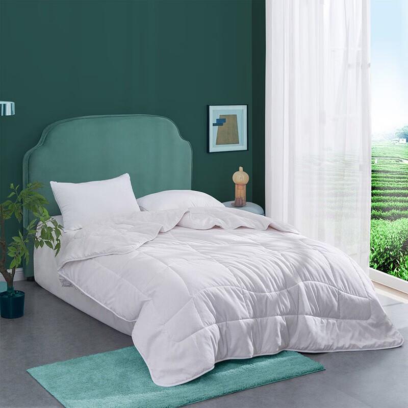Luolai Antibacterial Peach Skin Velvet All-Season Fiber Quilt