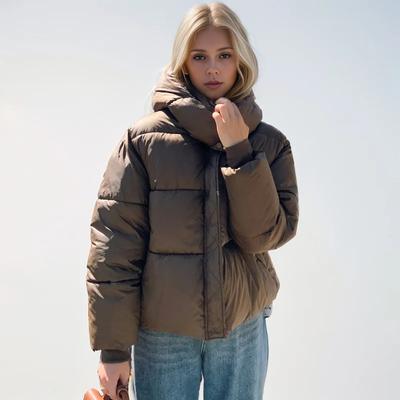 Women's Jacket Winter Down Cotton Jackets Female Stylish Sweet Thickened Padded Clothes Loose-Fitting Warm Coat Parkas
