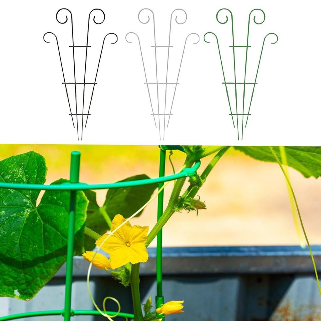 Plant Trellis Plant Climbing Rack Multi-Purpose Weatherproof Sturdy Garden