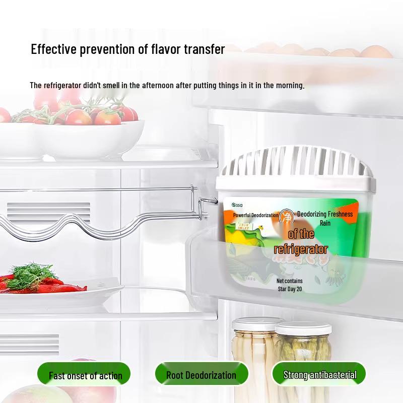 Activated Carbon Refrigerator Deodorizing Box - Odor Eliminator & Freshener
